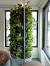 Kitchen Herb Garden Ideas