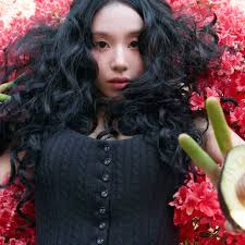 Got a new agenda, with a new dream," sings @janellemonae