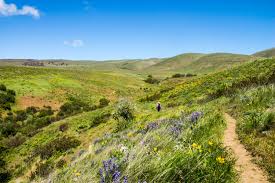 Ahwahnee angels camp aptos arnold auburn bakersfield baldwin hills balico bard benbow benicia big sur blairsden bodega bay borrego springs boulder creek bridgeport bridgeville brisbane buelton burney buttonwillow byron calistoga camarillo & oxnard. Dalles Mountain Ranch Tiny Pines