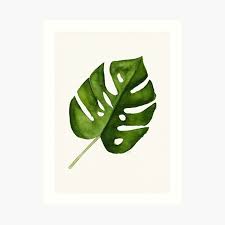Pin By Dinna Maryama On Art Plant Drawing Plant Art Small Canvas Art
