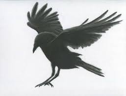 Charcoal Crow 11x14 Original Crow Drawing Crows Drawing Drawing Images Pencil Drawing Images For the first few steps, don't press down too hard with your pencil. charcoal crow 11x14 original crow