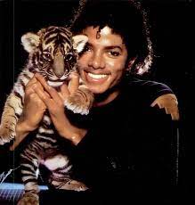Documentary chronicles michael's final photoshoots. On Twitter Michael Jackson Funny Michael Jackson Quotes Michael Jackson Thriller
