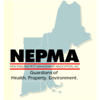 In new england, carpenter ants are considered the most problematic wood destroying pest. New England Pest Management Association Linkedin