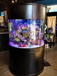 Mv Cylinder Moon View Glass Aquariums Aquarium Glass Aquarium Fish Tank Stand
