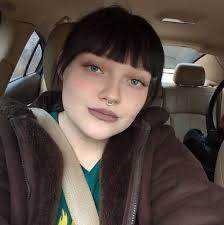 When should Christmas decorations and trees be put up?