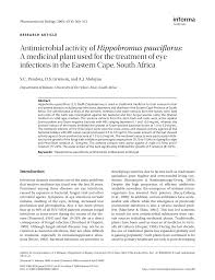 Image result for Hippobromus