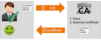 Insert your yubikey into the usb slot or your smart card into the reader. Benefits In Certificate Usage Wibu Systems
