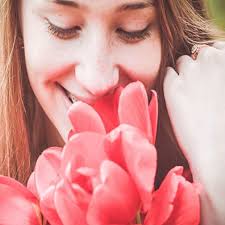 We did not find results for: Hollywood Florist Flower Delivery By The Flower Choice