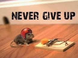Pin By A Bet On Funny Giving Up Quotes Never Give Up Quotes Up Quotes
