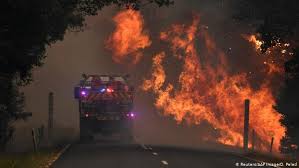 Maybe you would like to learn more about one of these? Australia Incendios Forestales Amenazan Sidney El Mundo Dw 12 11 2019
