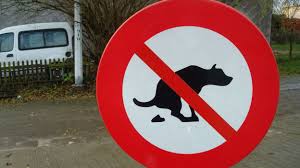 Crotte de chien sur trottoir. Encore Trop De Dejections Canines Sur Les Trottoirs Attention Aux Amendes