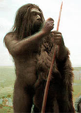 Wann sie einen älteren menschen für schön oder attraktiv halten. Entstehung Des Menschen Stammt Der Mensch Vom Affen Ab Evolution