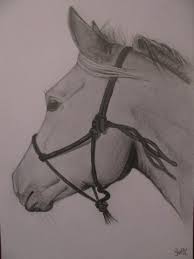 Paardenhoofd Tekening In Stappen Google Zoeken Paard Tekeningen Dieren Tekenen Paardenhoofd