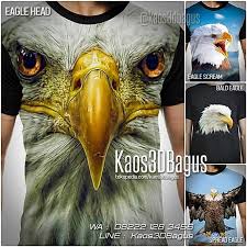 Burung rajawali adalah burung yang paling panjang usianya. Kaos Elang Kaos Rajawali Kaos Burung Elang Kaos 3d Animal Animals Bird Love Birds