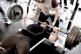 Resultado de imagem para imagem de muscula&ccedil;&atilde;o