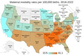Image result for Mortality Statistics