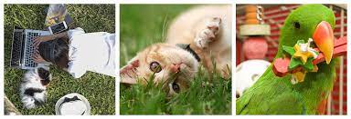 We did not find results for: Allpets Veterinary Clinic