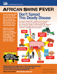 We explain what asf files are and recommend software that we know can open or convert your we know of 3 different uses of the asf file type, one of them being advanced streaming format. Usda Provides Resources For Keeping African Swine Fever Out Of Us