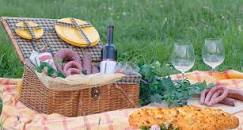 Resultado de imagen para origen desarrollo evolución picnics