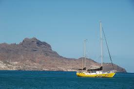 Image result for Verde Night 1982 Fleet