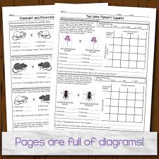 The handouts are application oriented and supplemental to the more important thing like creating in the classroom and hands on labs. Genetics Homework Pages