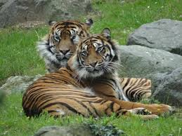 10 Meilleurs Hotels Proches Zoo De La Fleche Sur Tripadvisor