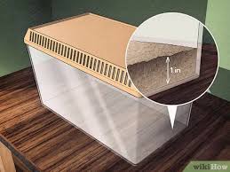 There are plenty of herbal remedies out there to help you get rid of broccoli worms. 3 Ways To Take Care Of Inchworms Wikihow