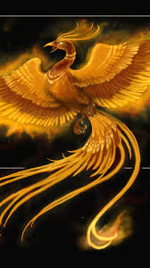 What you need to know is that these images that you add will neither increase nor decrease the speed of your computer. Phoenix Wallpapers And Hd Backgrounds Free Download On Picgaga