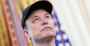 Houston Astros fans wear their Carlos Correa jerseys, even if they're a  little tight