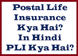 Post Office Pli Scheme In Hindi India Post Pli