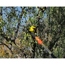 Les Peignes Vibreurs De Recolte D Olives Novaxion Oleiculture