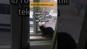 Sineklik Servisi Bir Telefonla Bir Gunde Montaj Yapiyoruz 0532 794 24 94