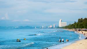 Image result for Hua