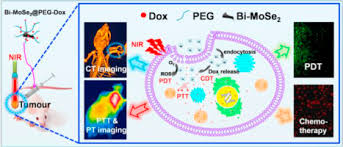 The prothrombin time (pt) measures the speed of clotting by means of the extrinsic pathway. Construct Of Mose2 Bi2se3 Nanoheterostructure Multimodal Ct Pt Imaging Guided Ptt Pdt Chemotherapy For Cancer Treating Sciencedirect