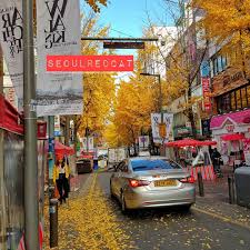Antara musim paling best kalau korang nak ke korea adalah pada musim luruh. Seoul Red Cat Travel Korea Muslim Style Musim Luruh Seoul Selepas Musim Panas Seluruh Korea Akan Mengalami Musim Luruh Atau Dalam English Adalah Autumm Ketika Ini Suhu Sejuk Sejuk Sedap Dalam 10 15c Namun