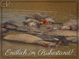 We did not find results for: Coolphotos De Grusskarten Ruhestand