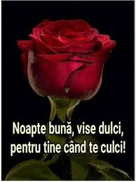 Iti propunem o gama vasta si frumoasa de mesaje de noapte buna. Noapte Buna