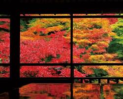 瑠璃光院の画像