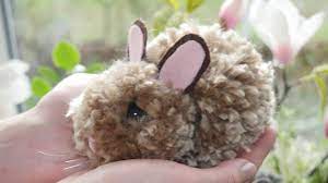 Wenn ein pilz eine pflanze parasitiert, dringt er mit spezialisierten hyphen, den haustorien, in deren zellen ein. Pompom Hasen Selber Machen Osterdeko Selbst Basteln Diy Osterhase Pom Pom Rabbit Youtube