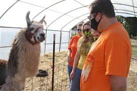 Download Northwesterners Plan Safe Halloween Celebrations As Coronavirus Pandemic Goes On Opb