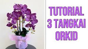 Cara gubah bunga orkid latex. Tutorial 3 Tangkai Orkid Orchid Orkidhiasan Gubahanorkid Youtube