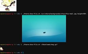 (optional) if you don't find your mykey in the indentity list try to connect anyway (ended with an error as expected), then restart secure shell app and check indentity menu again (they should be there without redoing import again). Secure Shell