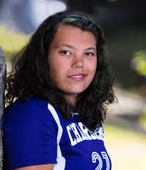 Plymouth businesses: volunteer mural artist needed