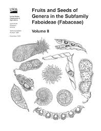 Image result for Humularia pseudo aeschynomene