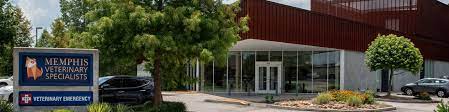 We did not find results for: About Our Hospital Memphis Veterinary Specialists Emergency Cordova