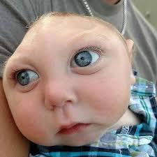 Anatomia/Fisiologia Humana