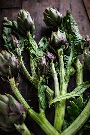 Check spelling or type a new query. Carciofi Ripieni Vegan Al Forno Ricetta Senza Glutine