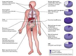 Cystic fibrosis liver disease | clinical research workshop. Cardinal Features Of Cystic Fibrosis And Relative Contribution Of Download Scientific Diagram
