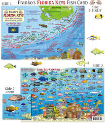 map of the keys florida keys fish transparent cartoon