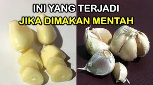 Menurut pakar herba, gabungan bahan ni baik untuk sistem pencernaan. Manfaat Makan Bawang Putih Mentah Setiap Hari Untuk Kesehatan Tubuh Sharing Bermanfaat